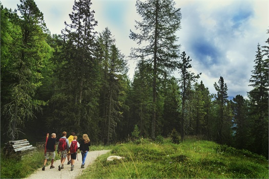 family hiking path through trees